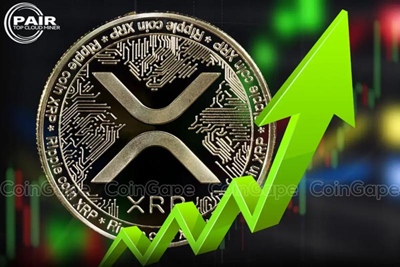 XRP zyskuje na popularności w kierunku 3 USD - zarejestruj się w PAIRMiner Cloud Mining i otrzymaj 150 USD, aby odblokować bogactwo kryptowalutowe